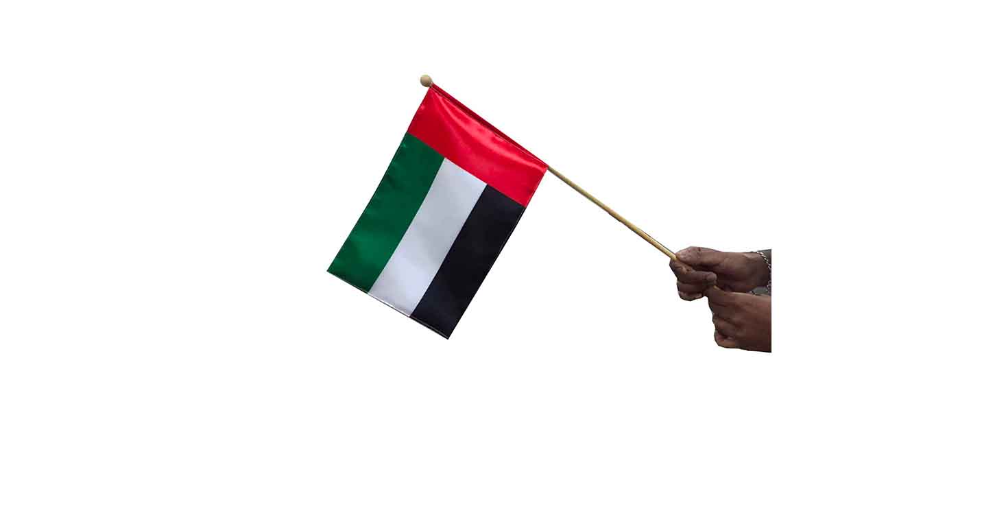 Hand Held Flag